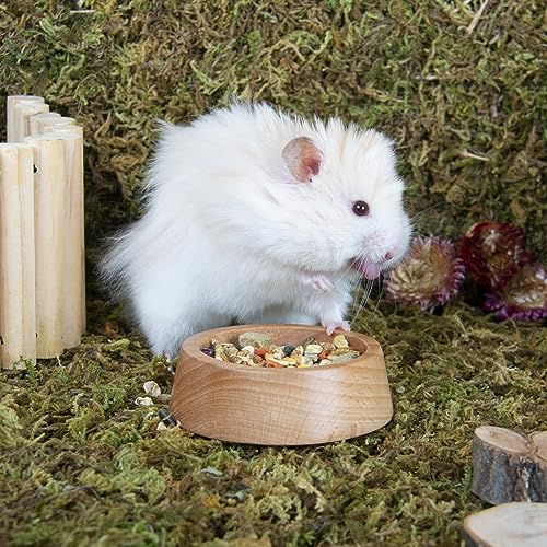 Rubor 01 Hamster Food Bowl, Wooden Guinea Pig Food Dish Feeding Bowl For Small Animal Dwarf Hamster Syrian Gerbil Mice Degu Chipmunk Squirrel Hedgehog thumb #1