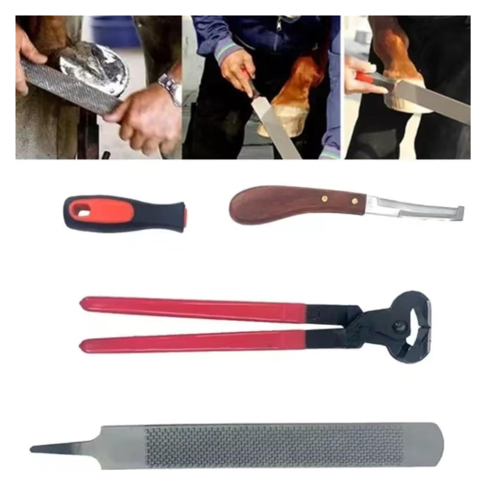 Herramientas Farrier, Juegos De Recorte Herradura 14 Pulgadas, Contienen Cepillo For Cuchillos Con Pinza For Caballos, Escofina For Pezuñas, Profesional 4 En 1 Hor
