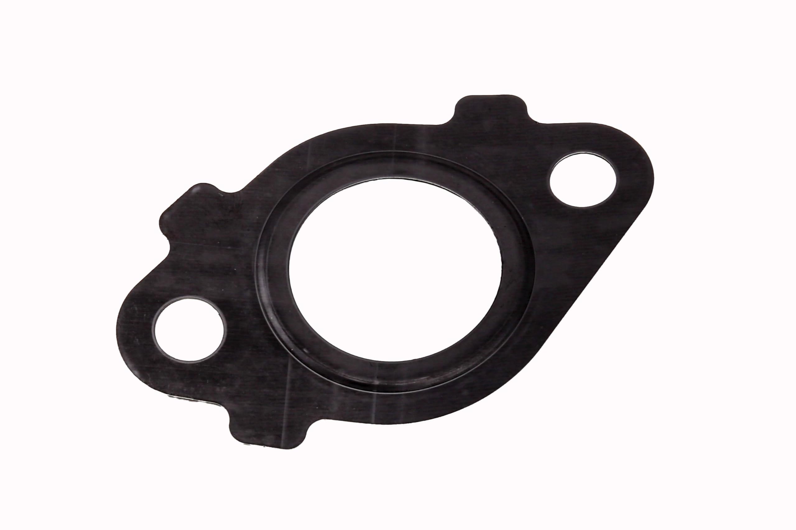Amazon.com: GM Genuine Parts 12641665 EGR Tube Gasket : Automotive
