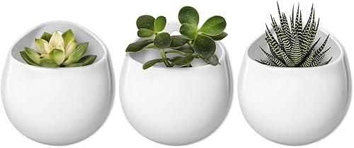 Mkono Maceta redonda de cerámica de 4 pulgadas para colgar en la pared, jarrón decorativo para plantas de interior, juego de 3, color blanco