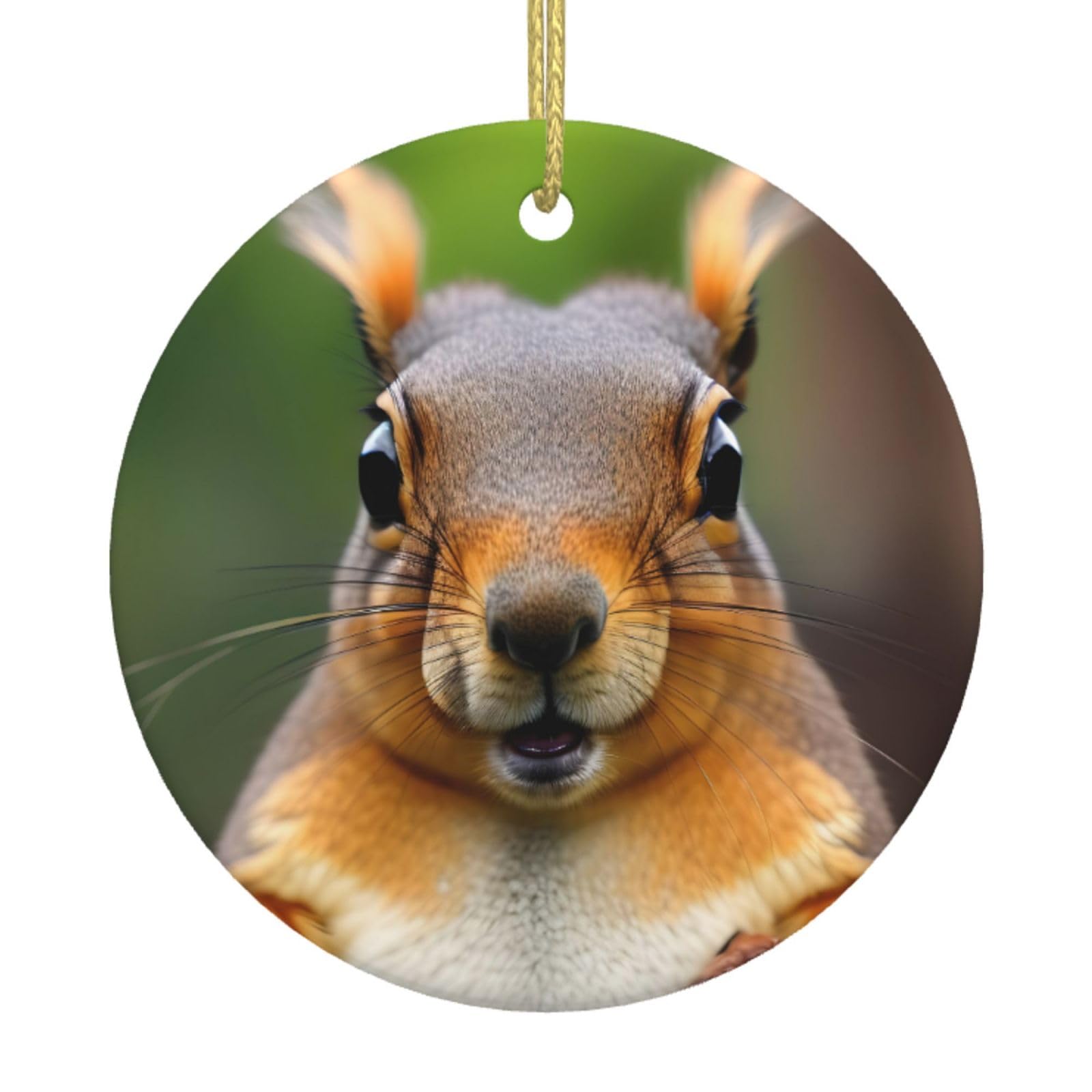 Squirrel Funny Animal Print Christmas Ornaments, Ceramic Hanging Ornament, Round Shape Decorations