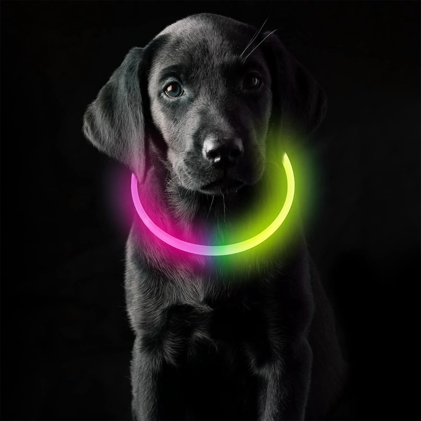 Collare Luminoso Per Cani Ricaricabile USB - LED Impermeabile Con 3 Modalità, Taglia M - Foto 8