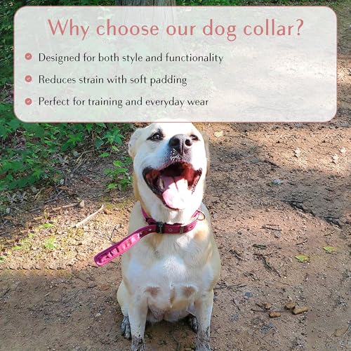 Collar para perro ajustable cómodo, impermeable y reflectante miniatura 6