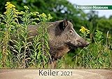  Keiler 2021