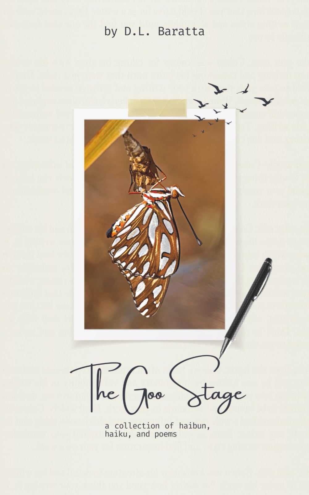 The Goo Stage: a collection of haibun, haiku, and poems
