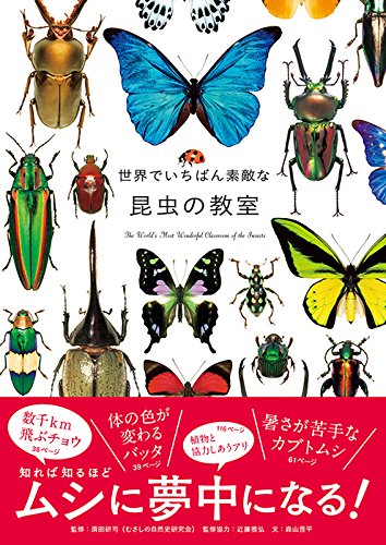 世界でいちばん素敵な昆虫の教室 (世界でいちばん素敵な教室)