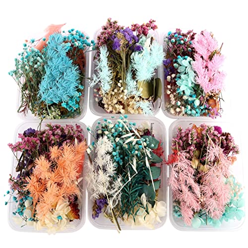 Marco de Madera con Flores Secas para Decoración miniatura 6