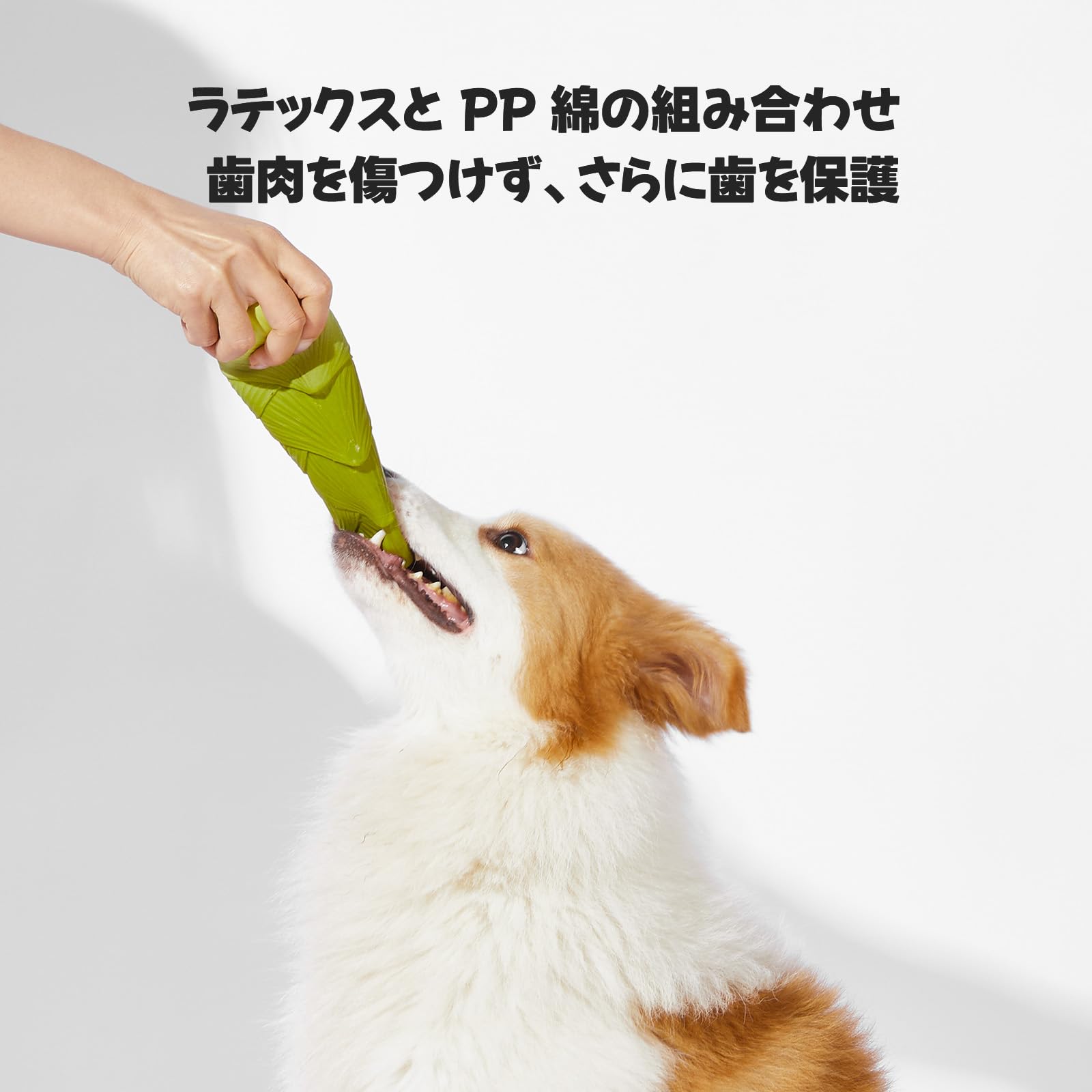 ☘️ 犬 おもちゃ 音の出る ラテックスゴム 犬噛む　運動不足 ストレス解消 Amazon | PureNya 犬 おもちゃ 竹の子型 【天然ラテックス製・音が鳴る