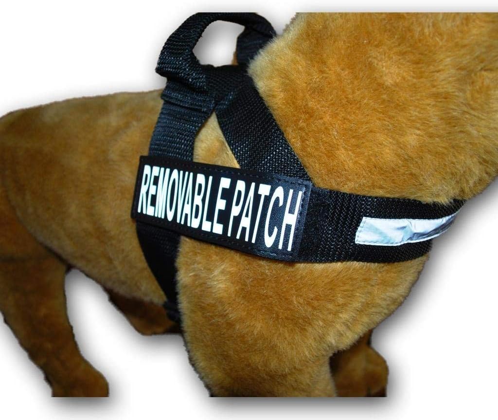 IN TRAINING Nylon Strap Service Dog Harness No Pull Guide Assistance comes with 2 reflective IN TRAINING removable patches. Please measure your dog before ordering. (Medium Fits Girth 22-29")