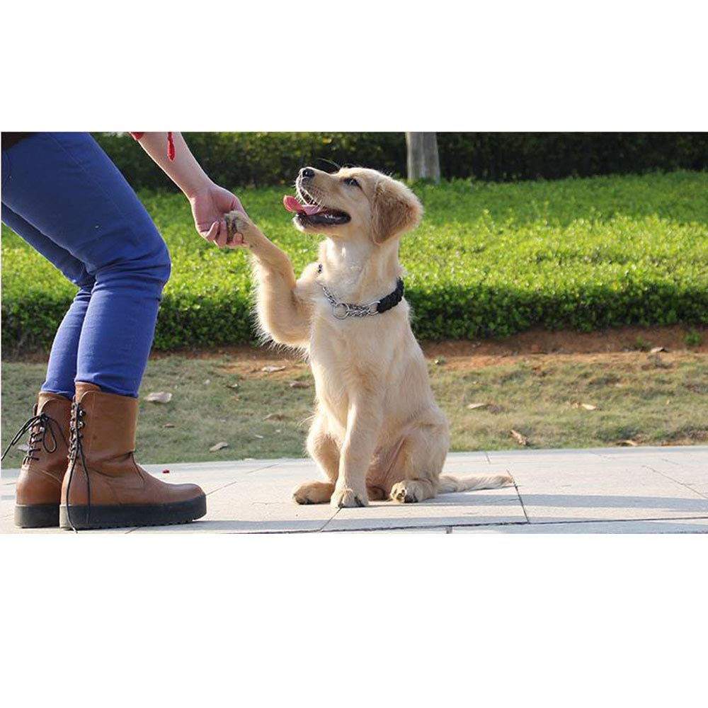 REYG Laisse De Dressage pour Chiens Laisse De Dressage pour Chiens à Double Extrémité pour Collier De Tête Et Harnais sans Tirette Laisse De Dressage Noire pour Petits Chiens Et Chiens,Black