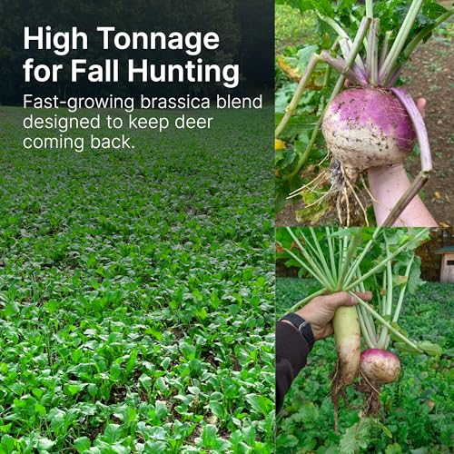 Brassica Blend For Deer