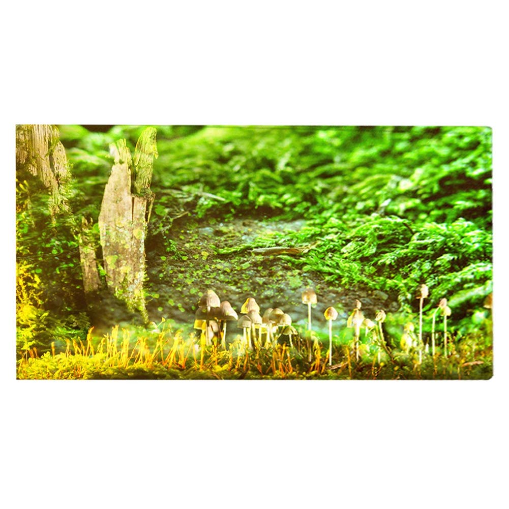 Indoor Door Mat, Super Absorbent Bathroom Carpet Non-Slip Non Slip Mat with Flannel Material for Bathroom Bedroom, Kitchen for Drying(80 * 50cm)