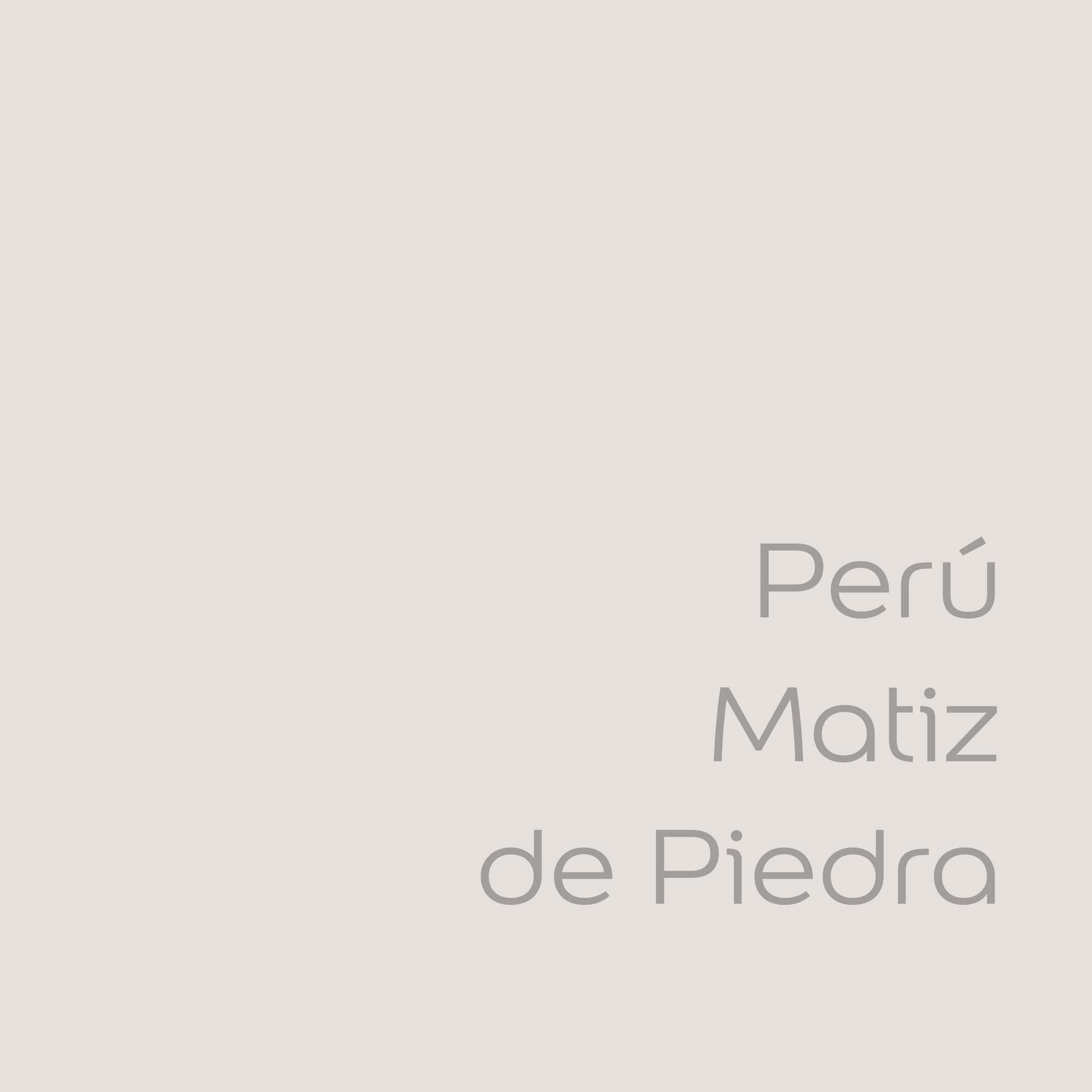 Bruguer Colores del Mundo Pintura para paredes monocapa Perú Matiz de Piedra 4 L