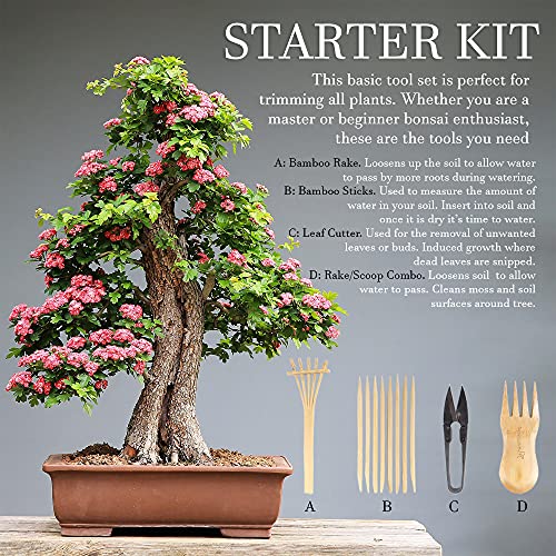 Bamboomn Bonsai Tree Pruning Trimming Starter Tool Kit - Leaf Trimmers, And Bamboo Rake - 1 Set #TOP6