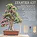 BambooMN Bonsai Tree Pruning Trimming Starter Tool Kit - Leaf Trimmers, and Bamboo Rake - 1 Set