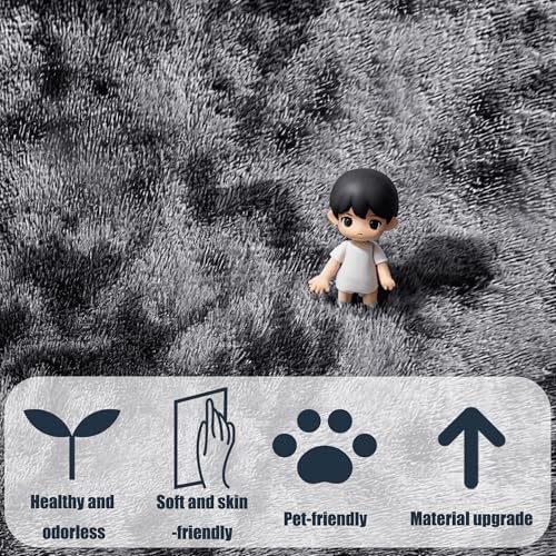 Tapis de salon lavable et antidérapant pour entretien facile