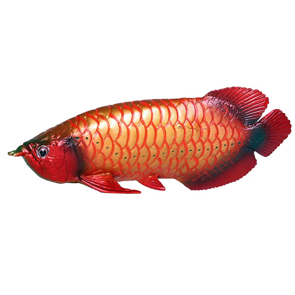 Amazon.com: FLORMOON Arowana Figure Realistic Animal Figurines