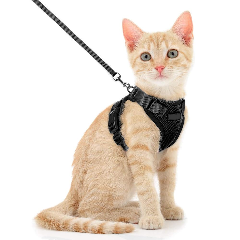 Voarge Harnais pour Chat Réglable avec Laisse de 150 cm - Sécurité pour Chats Adultes, Petits, Moyens et Grands, Chiots - Idéal pour la Marche et les V