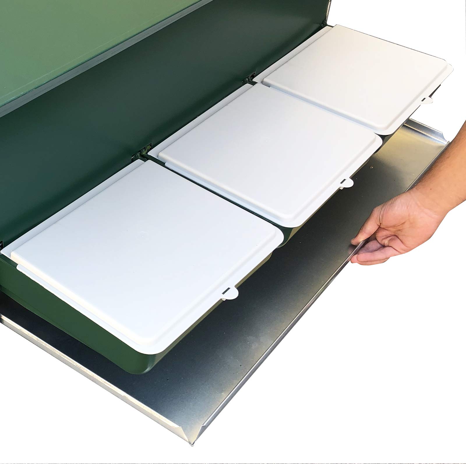 Pollaio Procida per ca. 12 Galline. Casetta Interamente Zincata con Pareti Laterali Chiuse, Tetto Zincato e Verniciato di Verde, Rete Antintrusione Zincata. Ingombro Max cm 160 x 120 x H 120