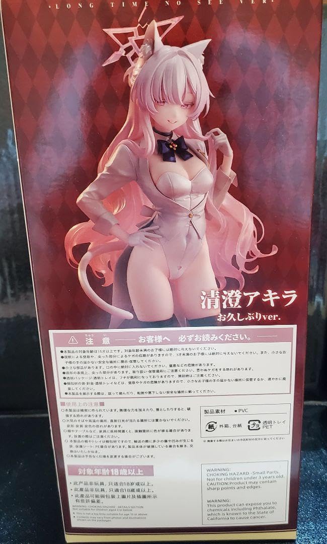 Amazon.co.jp: 清澄アキラ お久しぶりver. : おもちゃ