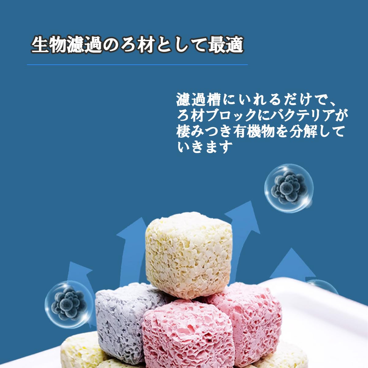 やふおく・BASE等では、大変良く売れています。バクテリア材 難産種にどうぞ。壱 やふおく・BASE等では、大変良く売れています。バクテリア材