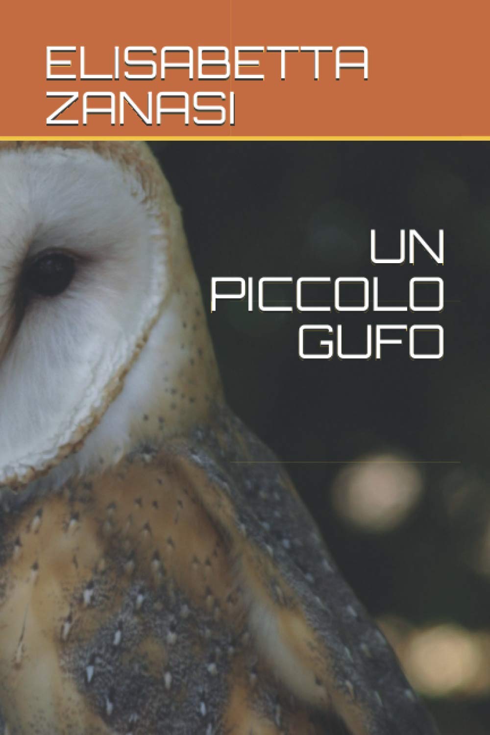 UN PICCOLO GUFO