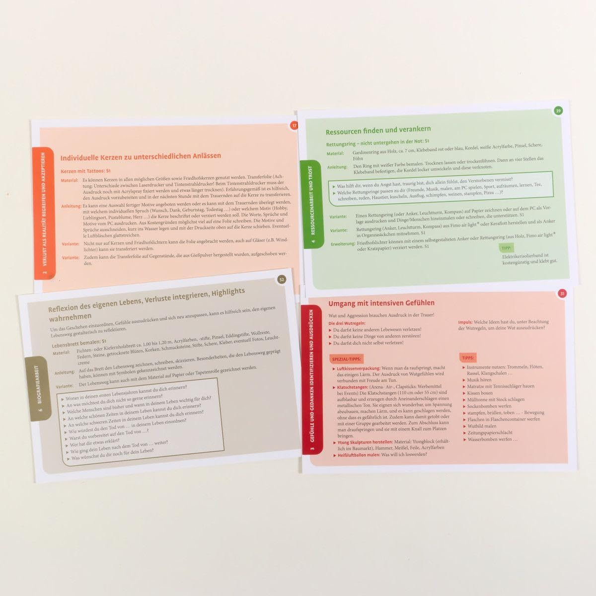 Kreative Trauerarbeit mit Kindern und Jugendlichen: 75 Therapiekarten. Mit 24-seitigem Booklet in hochwertiger Klappkassette, Kartenformat 16,5 x 24 cm (Beltz Therapiekarten)