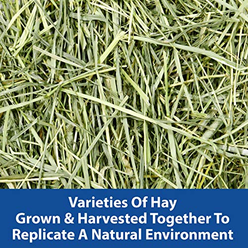 Image of Kaytee All Natural Timothy Hay Wild Meadow Hay Blend for Guinea Pigs, Rabbits & Other Small Animals, 24 Ounce (Pack of 2)