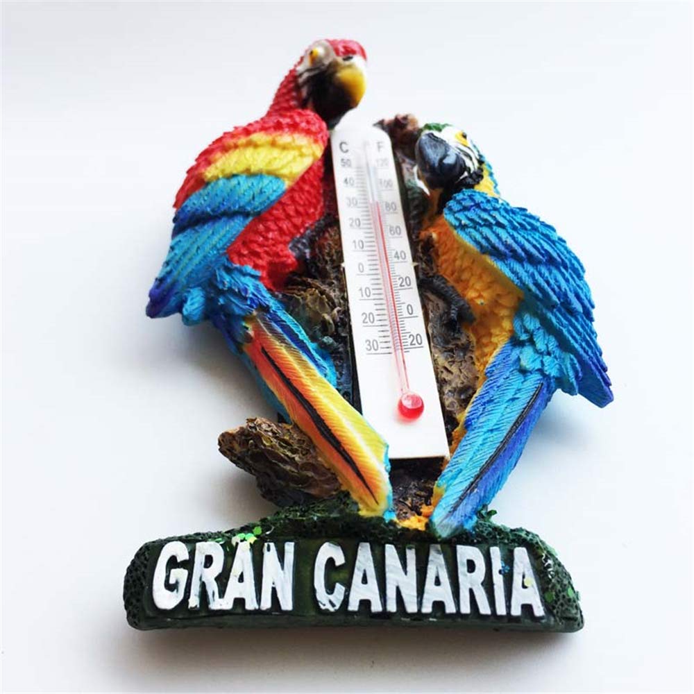Calamita 3D Frigorifero Macaw Gran Canaria - Souvenir Spagna In Resina, 7x10.7 Cm - Foto 8