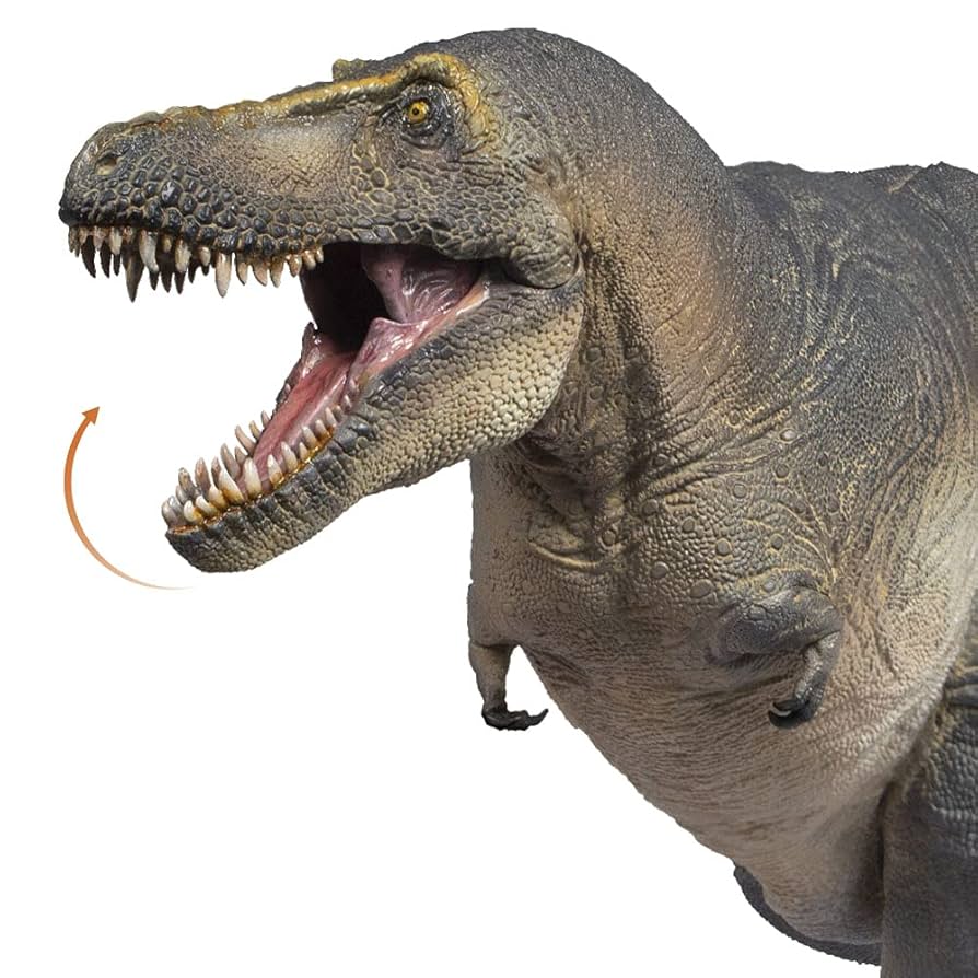 ライフモデルシリーズ T.rex ティランノサウルス (PVC塗装済み完成品) Amazon | ライフモデルシリーズ T.rex ティランノサウルス (ノン