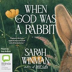 When God Was a Rabbit Audiobook By Sarah Winman cover art