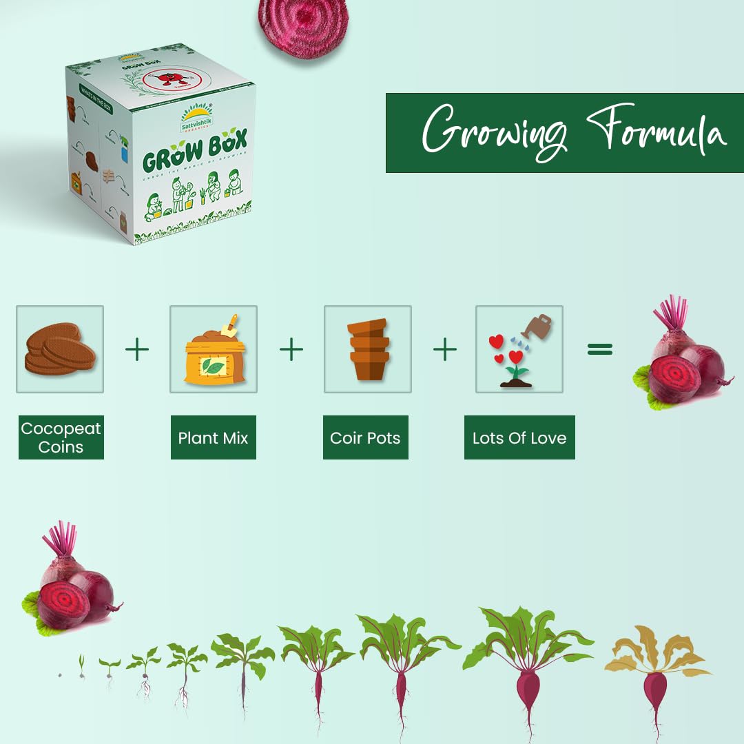Sattvishtik Grow Box Beetroot Vegetable Kit for Kids | Pack of 1 | Eco Friendly Gift for Kids | Beginner Gardeners | DIY | Easy Grow it Yourself Gardening Kit for Home & Garden 1