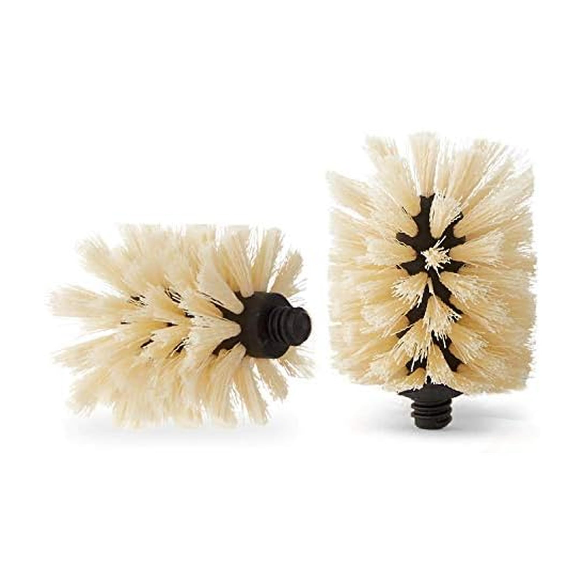 S'well Brush 2-Pack, One Size, Replacement Heads (2 Pack)