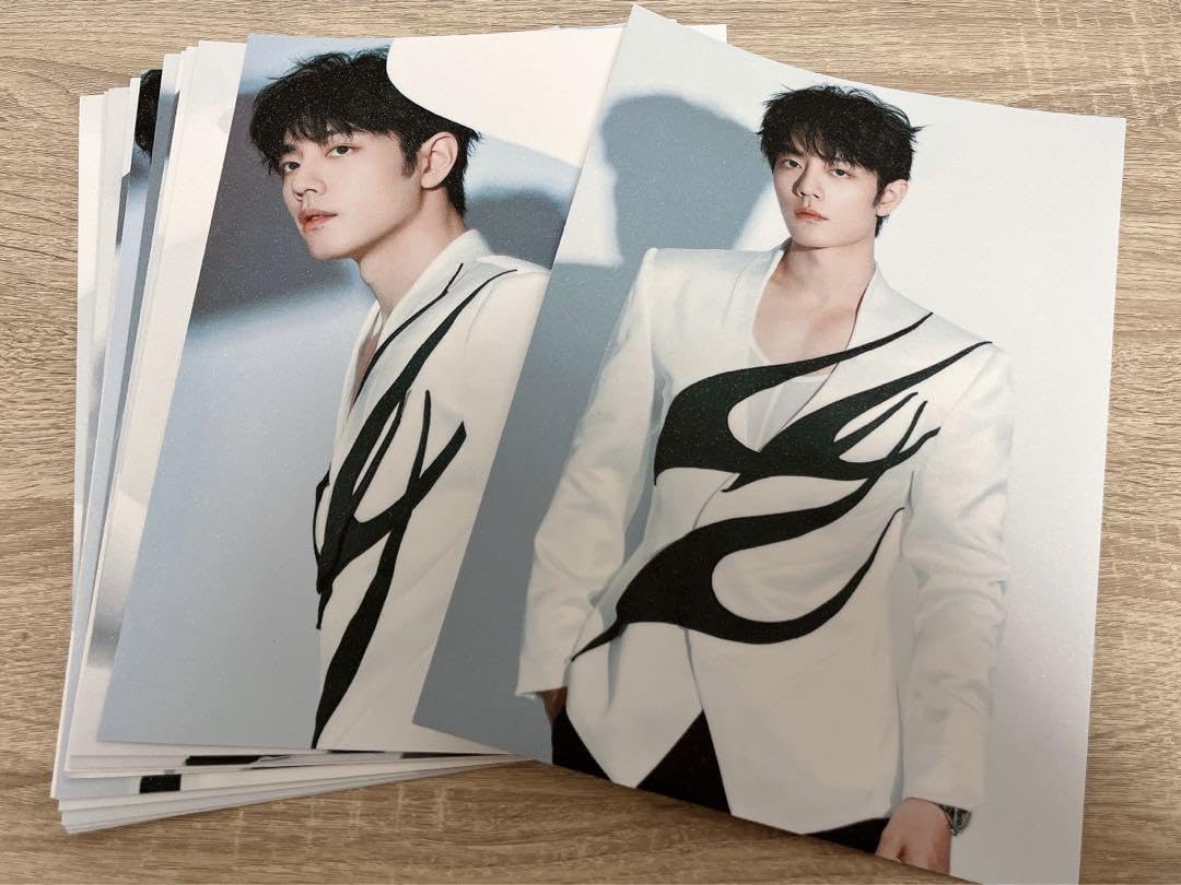 陳情令 肖戦 微博之夜キラキラ満天星A4ポスター12枚セット② Amazon.co.jp: 陳情令 肖戦 微博之夜満天星A4ポスター12枚セット