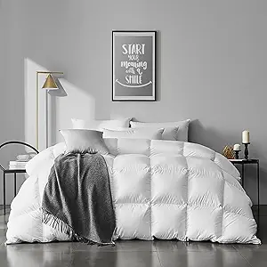 APSMILE Queen Size Feathers Down Comforter - Ultra Soft All Seasons 100% Organic Cotton Duvet Insert Medium Warm Quilted Bed Comforter with Corner Tabs (90x90,Ivory White)