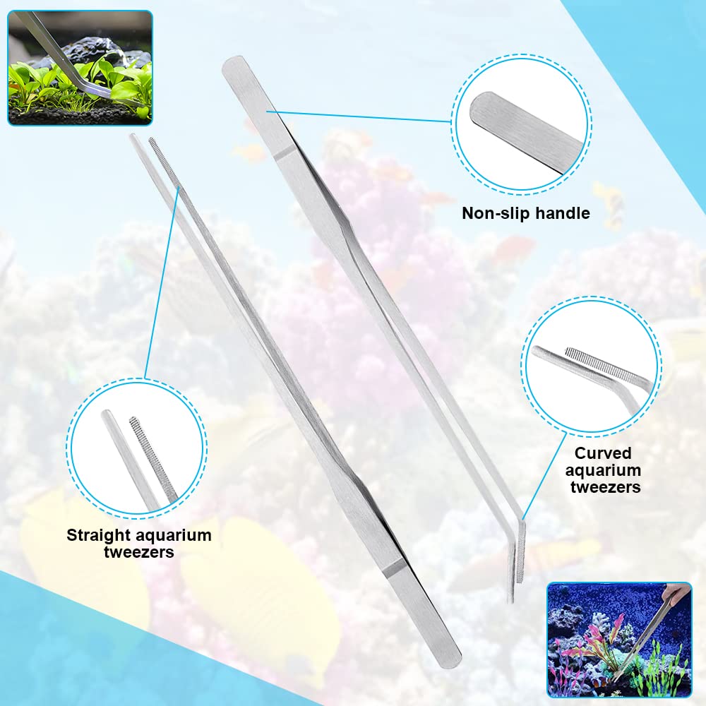 1 Mangiatoia per Coralli 1 Acrilico Pipette per Acquario 2 Pinzette Dritte e Curve per Acquario 1 Sacchetto Filtro per Acquario Alimentatore per Coralli per Acquari Marini e Scogliere Marine