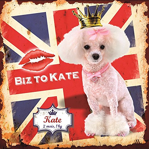 Plaque Metal 20 x20 cm Sérigraphie Couleur Kate 2 Mois Biz to Kate Cover