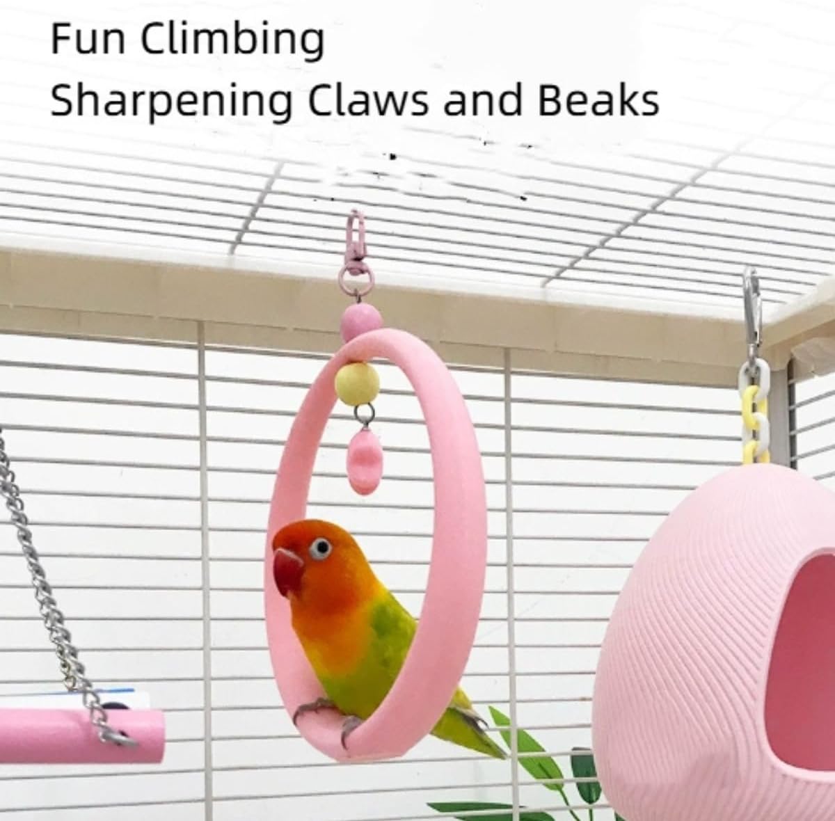 7-Piece Parrots Toy Set - Natural Wood Ladder, Colorful Swing Ladder, Bird Perch Stands, Bird House with Perch, Cage Accessories for Parakeets, Cockatiel, Conure, Lovebird, Quaker