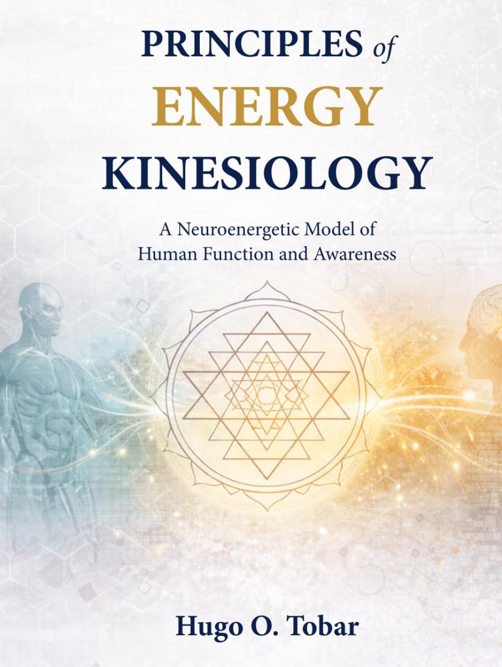 Principles of Energy Kinesiology: A Neuroenergetic Model of Human Function and Awareness