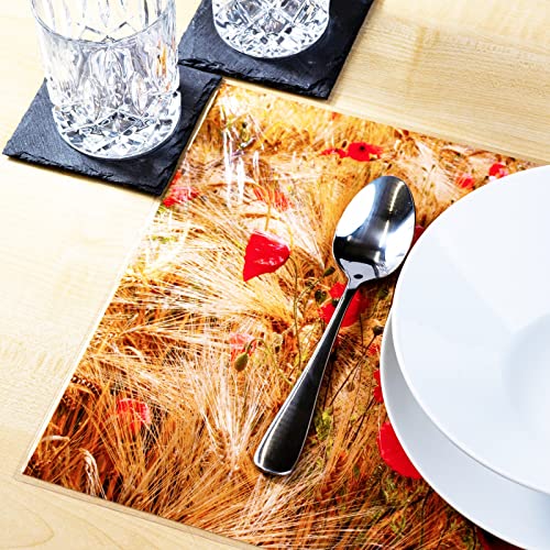 Sets de table lavable plastique lot de 4 anti-tache coquelicots - 4