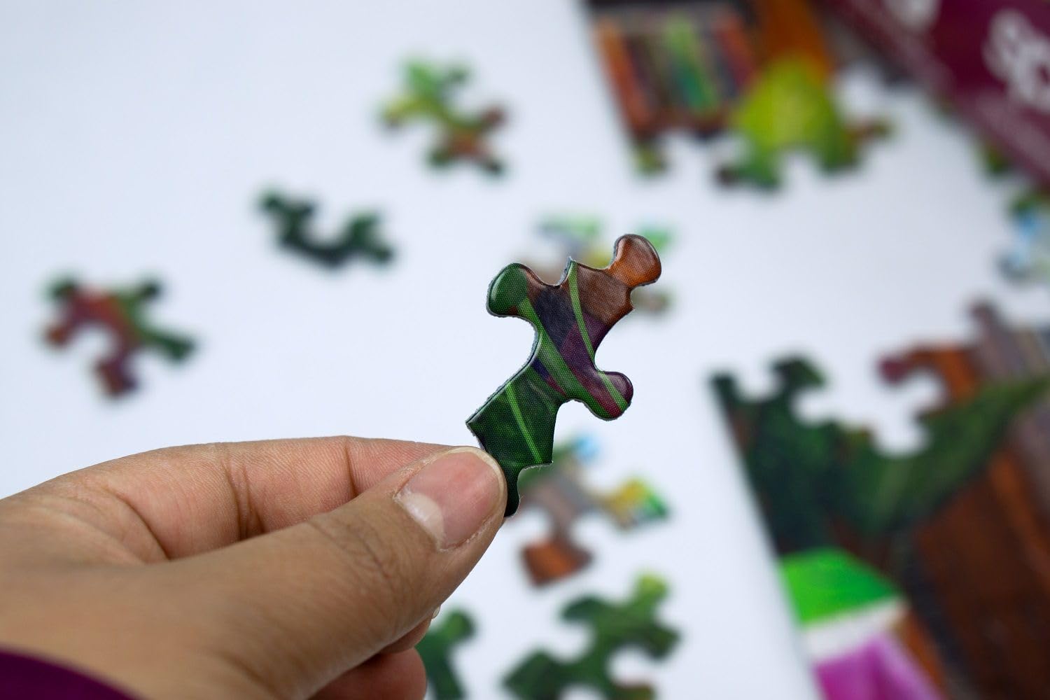 Thumbnail 6