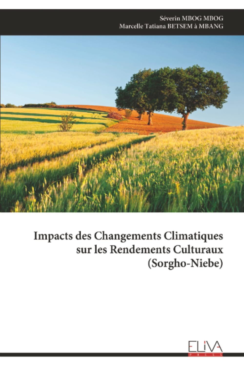 Impacts des Changements Climatiques sur les Rendements Culturaux (Sorgho-Niebe)