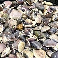 冷凍はまぐり(国産蛤)1kg