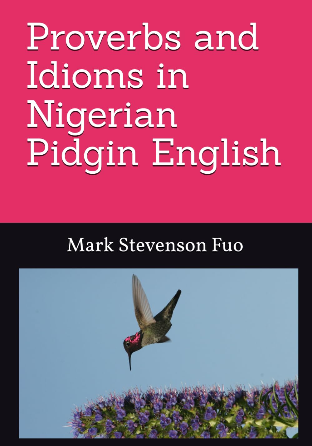 Proverbs and Idioms in Nigerian Pidgin English