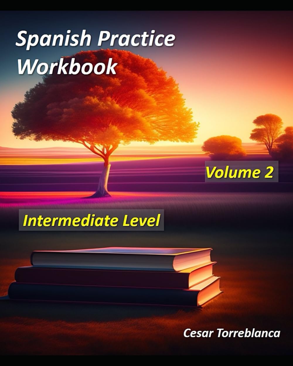 Spanish Practice Workbook - Volume 2 - Intermediate Level (Spanish Practice Exercises)