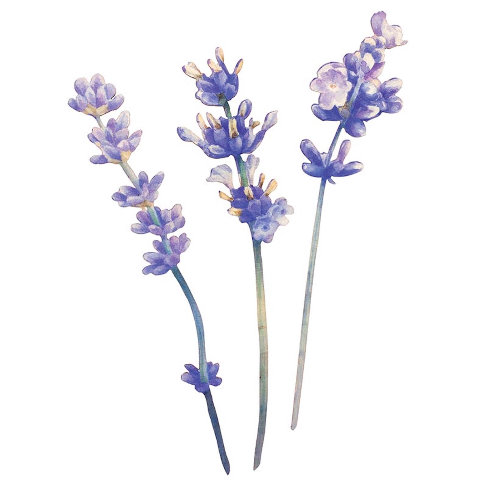 P. Graham Dunn Wood Flowers, 3" x 8", Let Kindness in