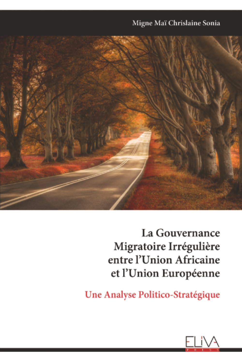 La Gouvernance Migratoire Irrégulière entre l’Union Africaine et l’Union Européenne: Une Analyse Politico-Stratégique
