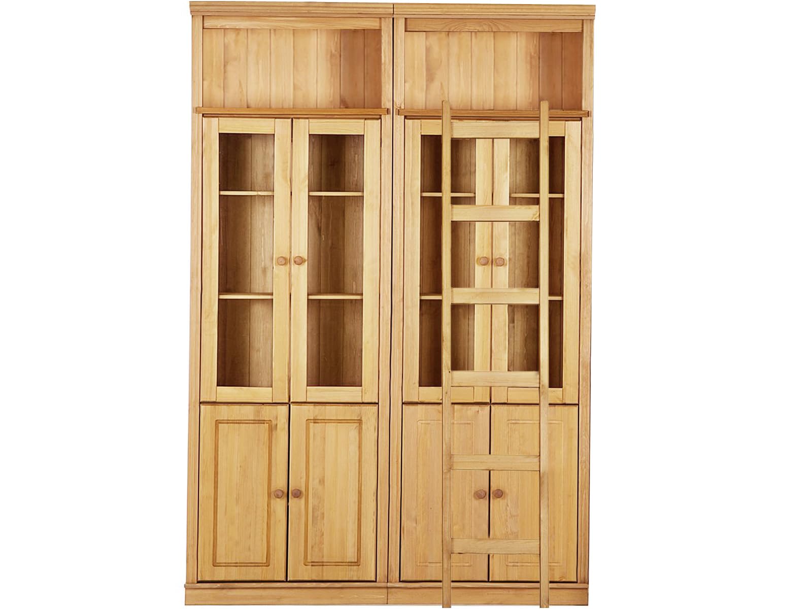 Anita Wall Unit J with 2 Bookcases, 4 Wooden Doors, 4 Glass Doors and 1 Ladder in Havana Lacquer in Stained Wax, 34 x 223 x 148 cm (D x H x W)