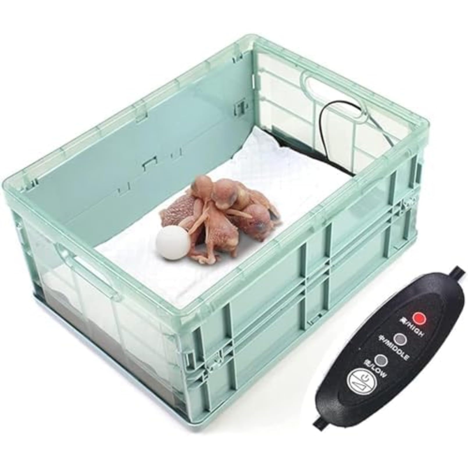 Amazon.co.jp: [otoye] 手動インキュベーターの鳥&小動物のブローダー