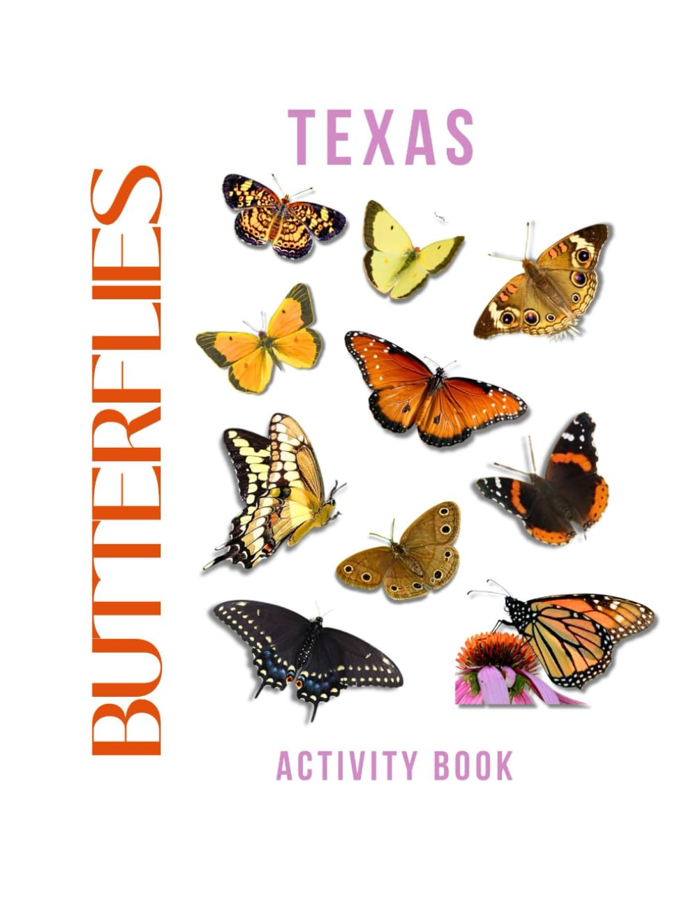Butterflies of Texas Activity Book: A Young Explorer's Field Guide to Discovering the Winged Wonders of the Lone Star State (Texas Nature Explorer Series)